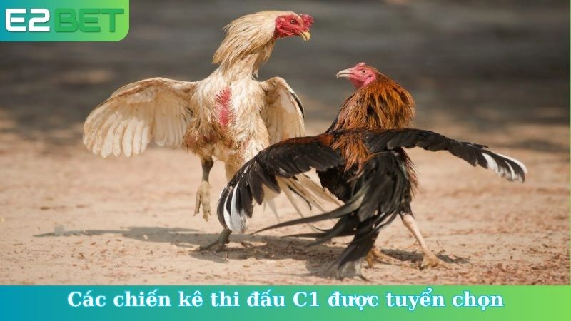 Các chiến kê thi đấu C1 được tuyển chọn