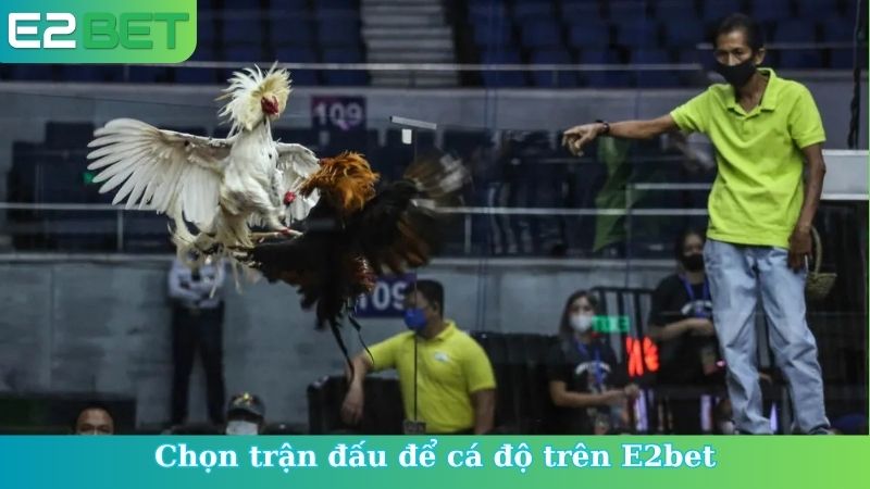 Chọn trận đấu để cá độ trên E2bet
