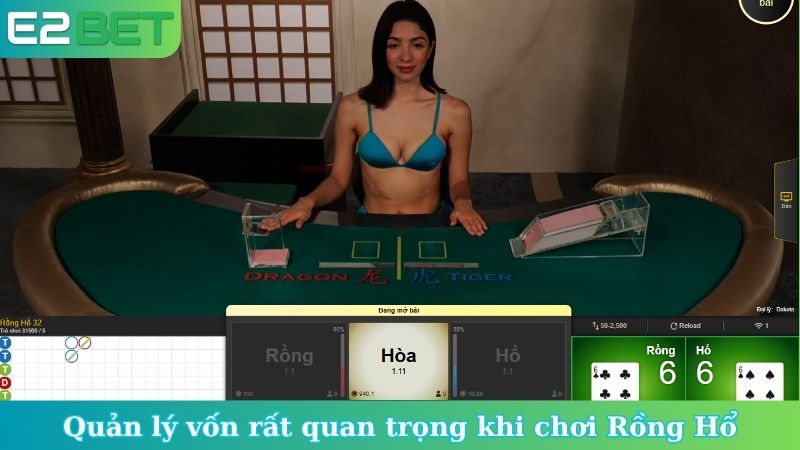 Quản lý vốn rất quan trọng khi chơi Rồng Hổ