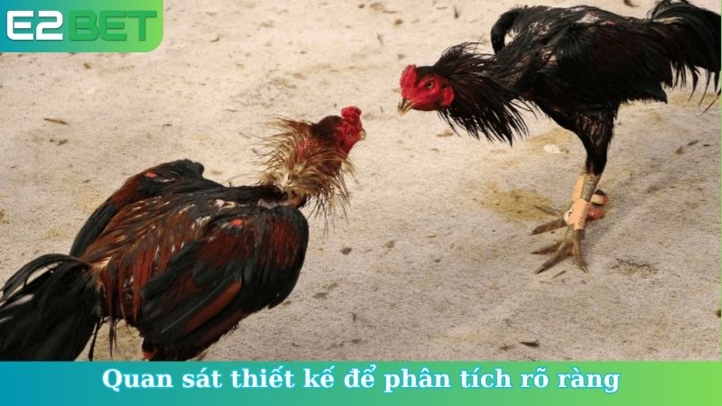Quan sát thiết kế để phân tích rõ ràng