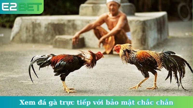 Xem đá gà trực tiếp với bảo mật chắc chắn